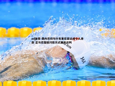 od体育-费内巴切与什克里尼亚达成个人条款 正与巴黎就付款方式展开谈判