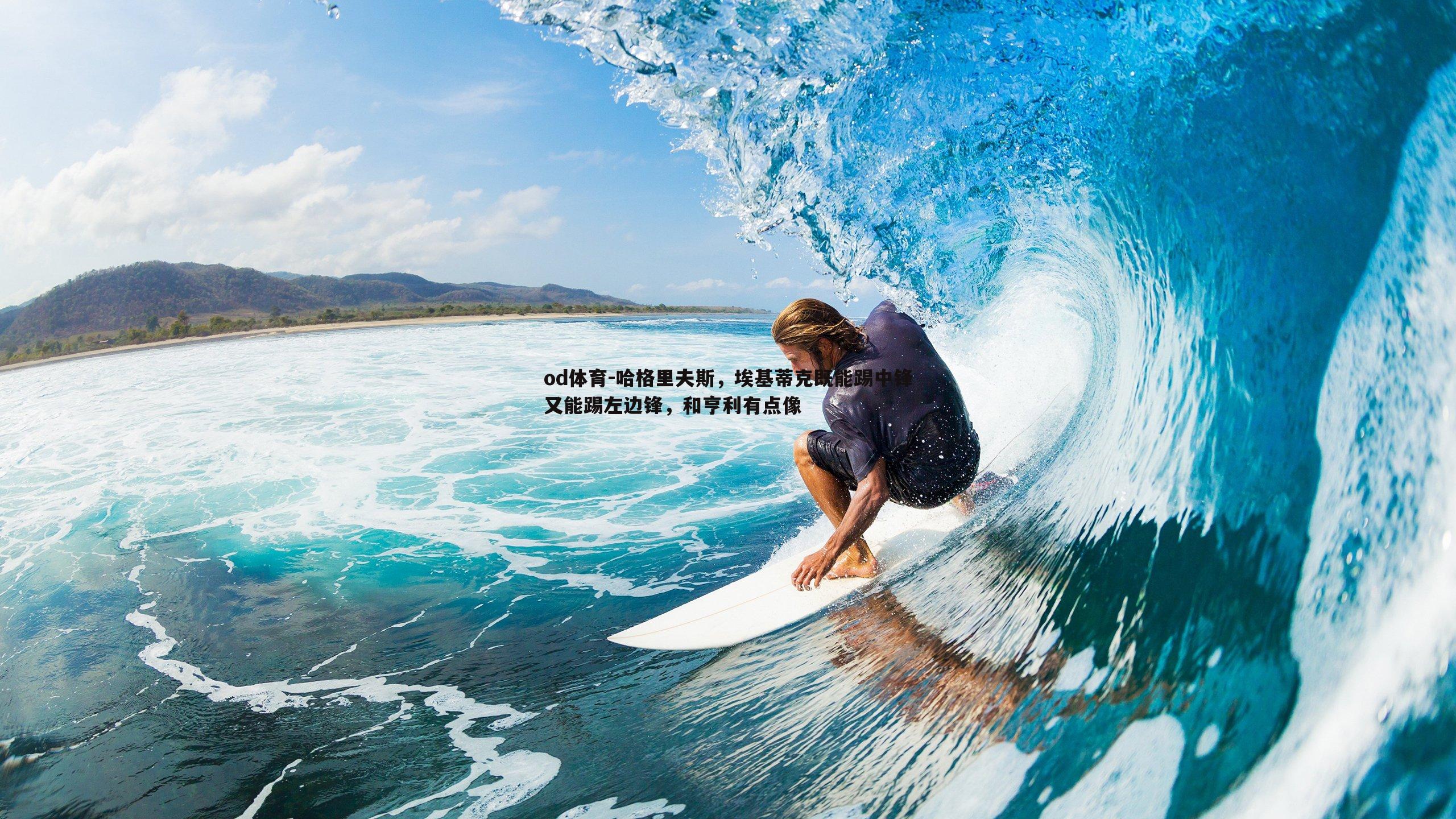 哈格里夫斯，埃基蒂克既能踢中锋又能踢左边锋，和亨利有点像